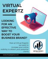 Virtual Expertz image 42